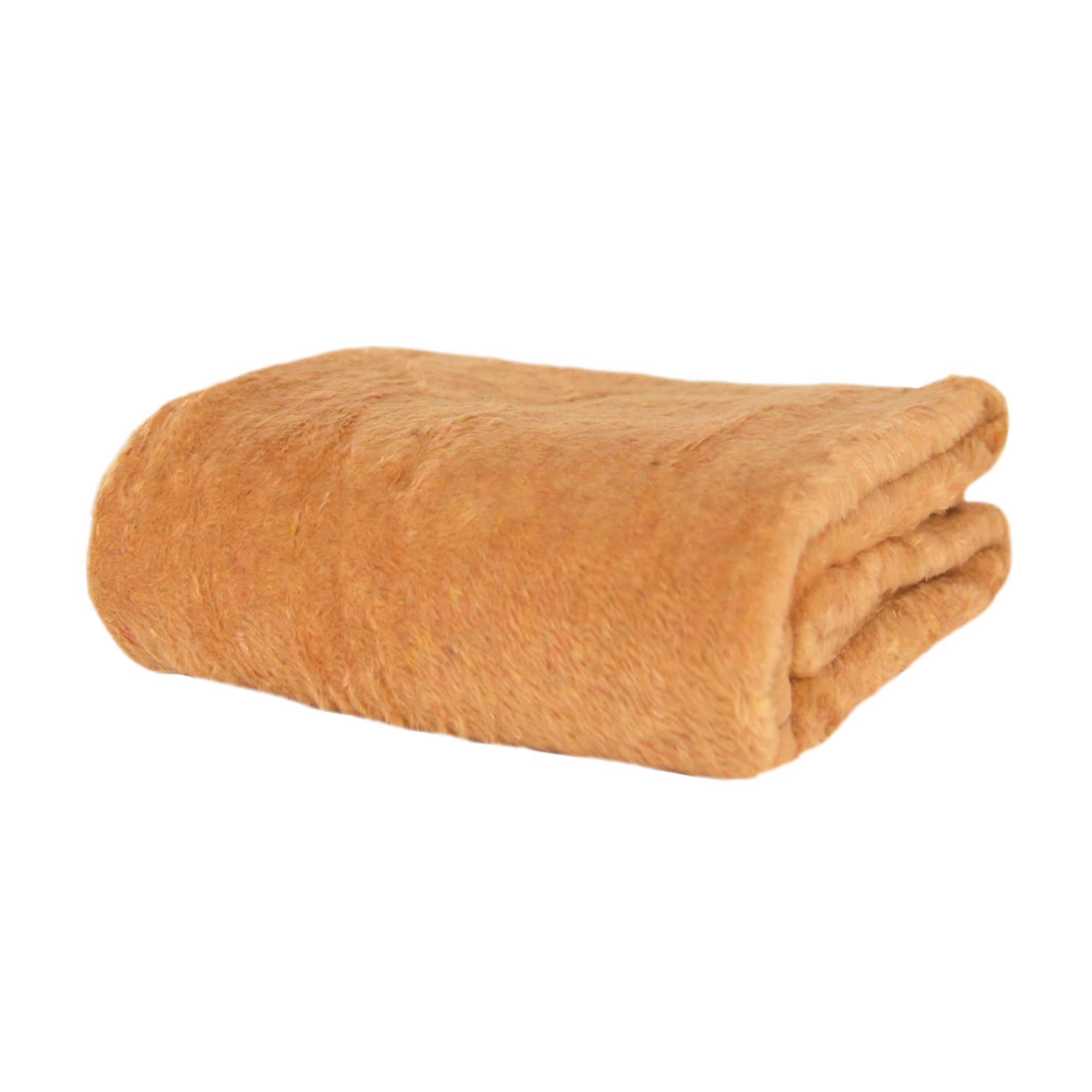 CAMEL@2x